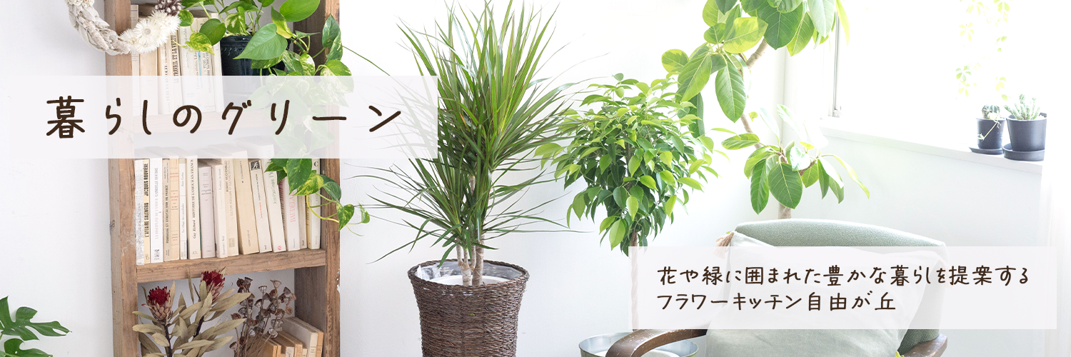 暮らしのグリーン