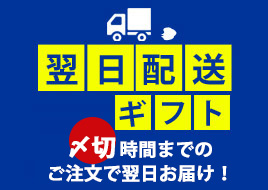 翌日お届けギフト特集