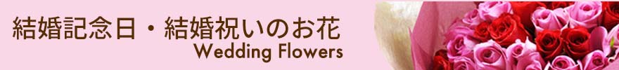 結婚記念日・結婚祝いに贈る花ランキング