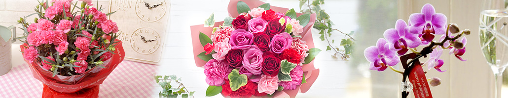 母の日に贈る　カーネーション　バラ　胡蝶蘭