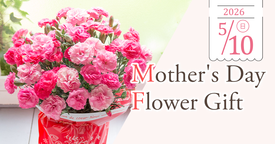 feature_mother.jpg