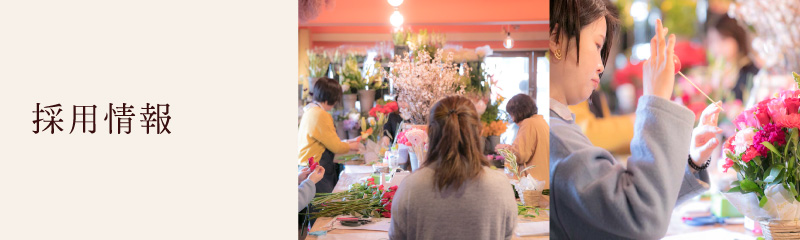 採用情報