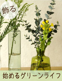 暮らしのグリーン