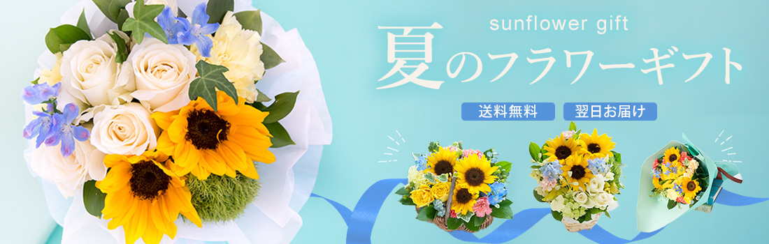 ひまわり