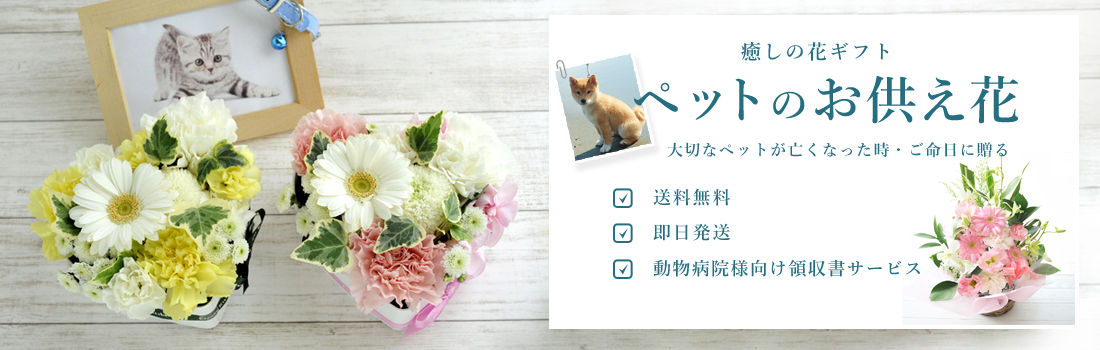 ペットのお供え特集
