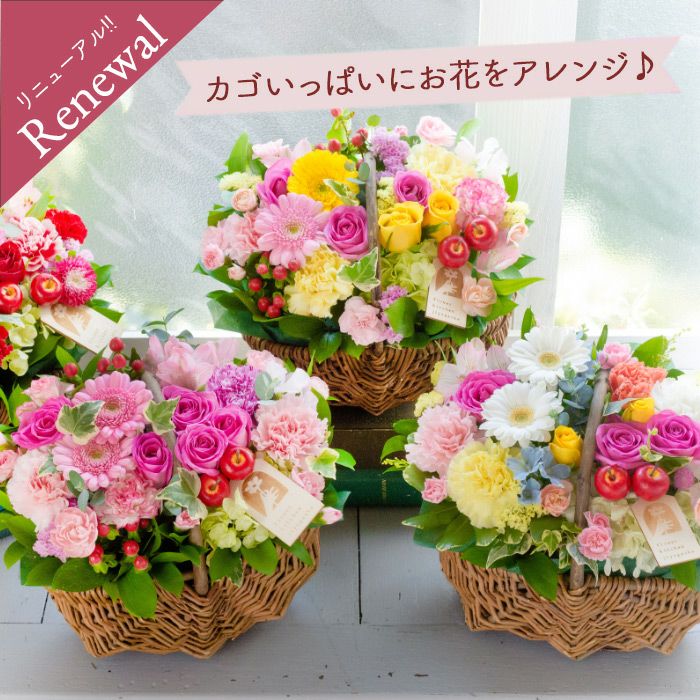 ガーベラバスケット 誕生日 アレンジメント プレゼント FKAA | Flower