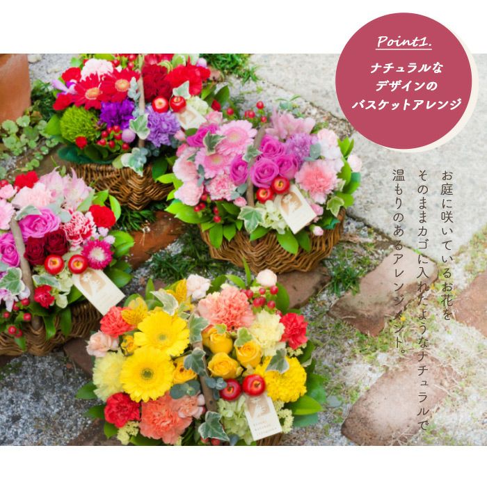 ガーベラバスケット 誕生日 アレンジメント プレゼント FKAA | Flower