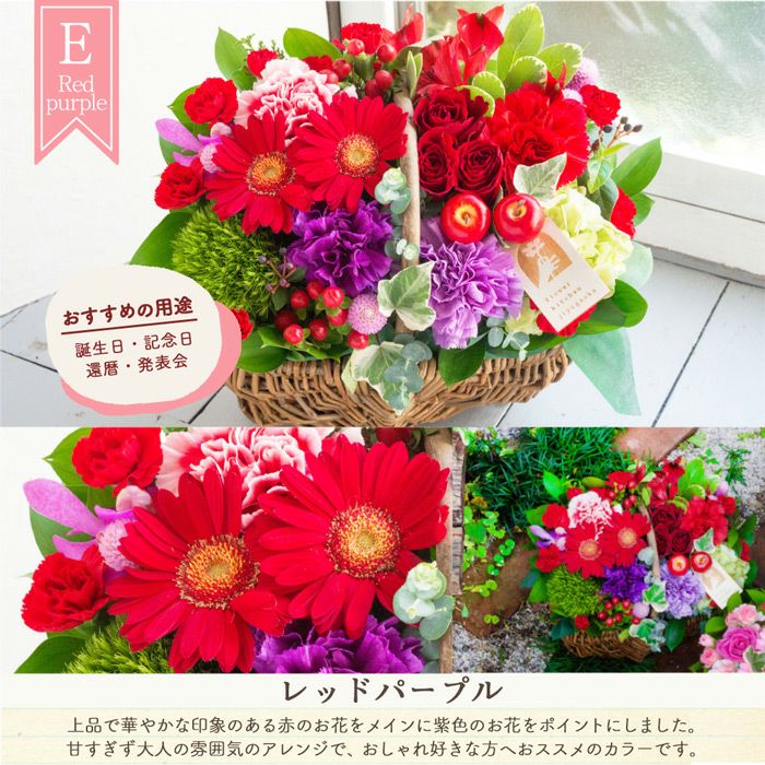 ガーベラバスケット 誕生日 アレンジメント プレゼント FKAA | Flower