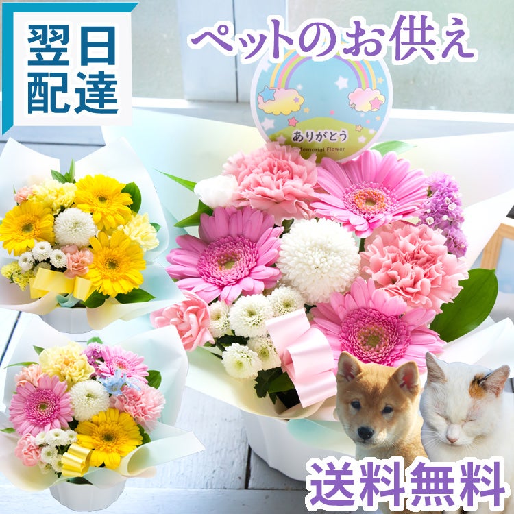 ガーベラのペットお供えアレンジ お悔やみ アレンジメント