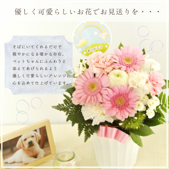 ガーベラのペットお供えアレンジ お悔やみ アレンジメント