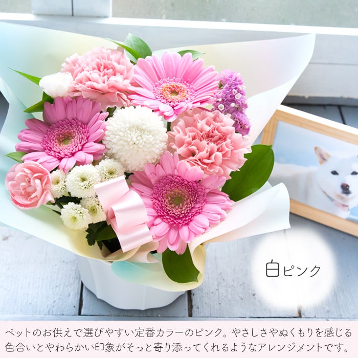 ペットお供え 虹の橋アレンジ お悔やみ アレンジメント FKAA | Flower