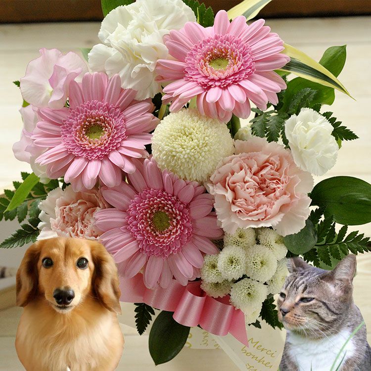ガーベラのペットお供えアレンジ お悔やみ アレンジメント