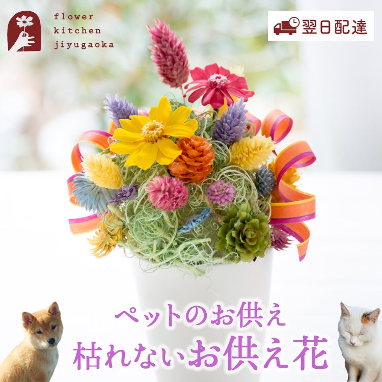  ペット専用 プリザーブドフラワー「虹の橋」 