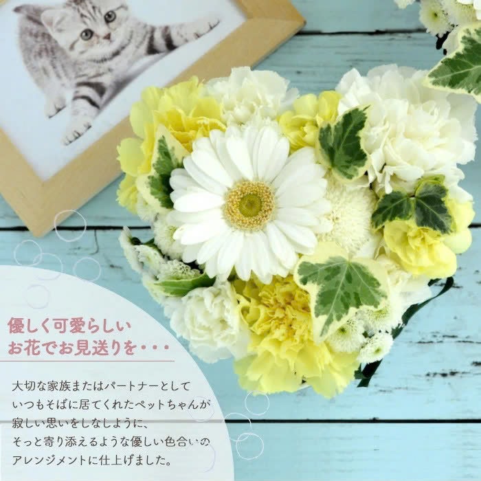 ペットのお供えハートケーキ