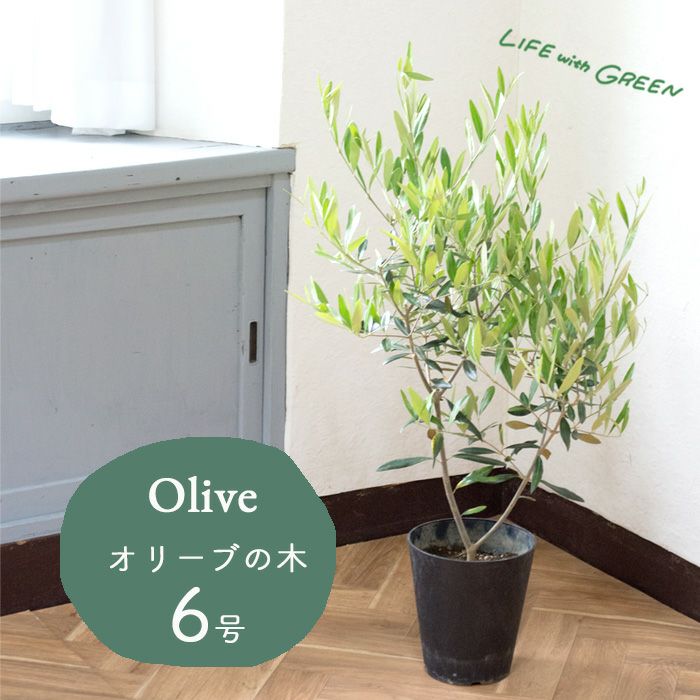 000000000193-02.jpg?size=l&w=