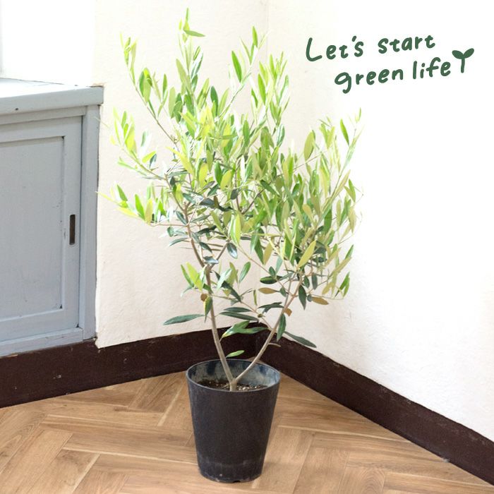 000000000193-08.jpg?size=l&w=