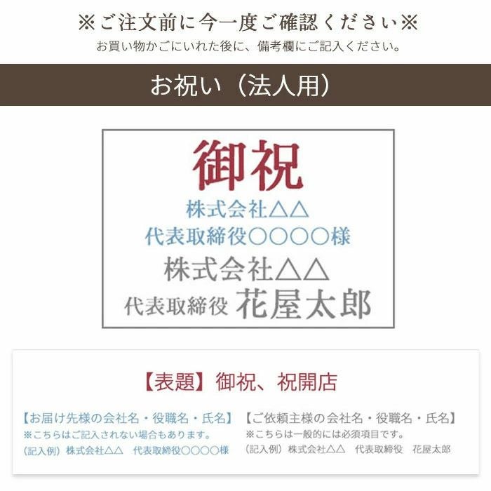観葉植物 オリーブの木 品種おまかせオリーブ8号鉢 かごなし FKTK