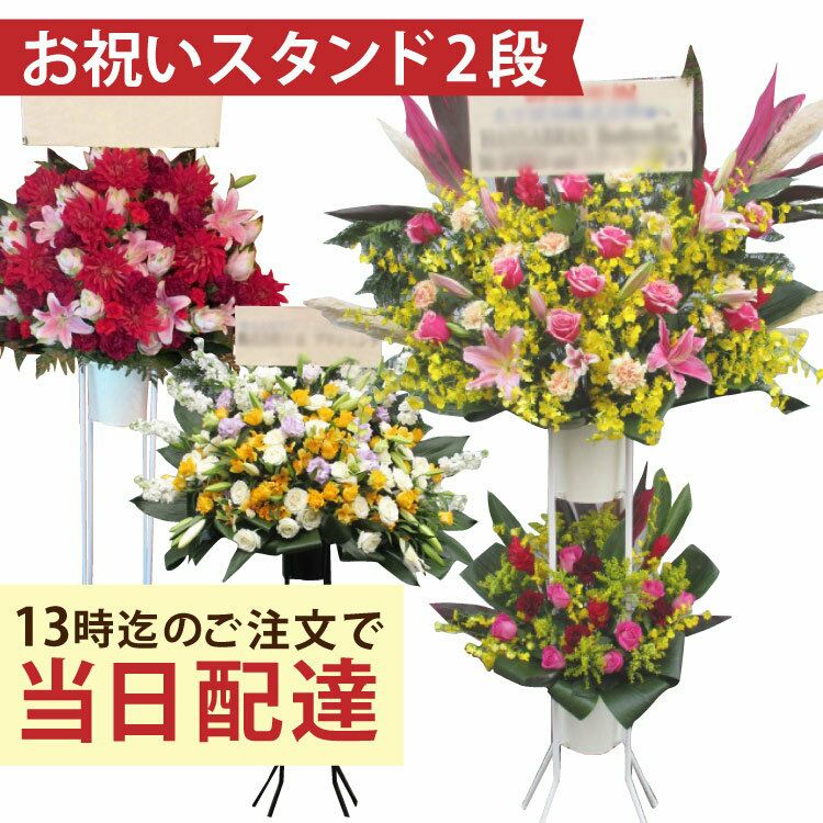 きょうはなスタンド2段大