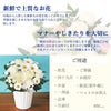 旬のおまかせお供え花Sサイズ お悔やみ アレンジメント 花束