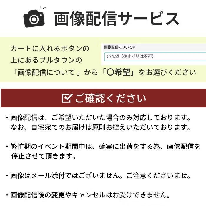 旬のおまかせお供え花Sサイズ