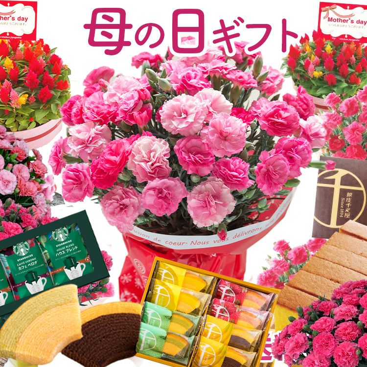 50本バラの花束