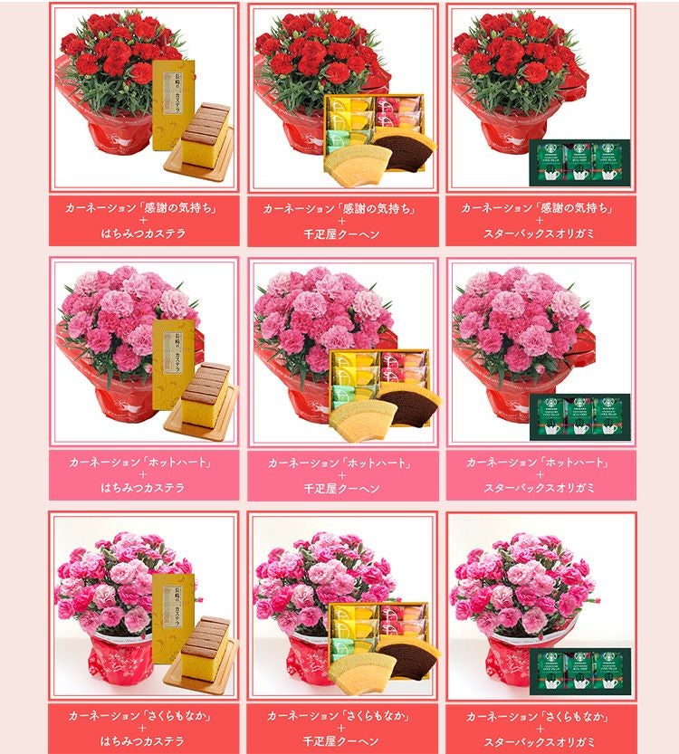 母の日 プレゼント 【花とスイーツ】選べる 花鉢 ＆ スイーツセット