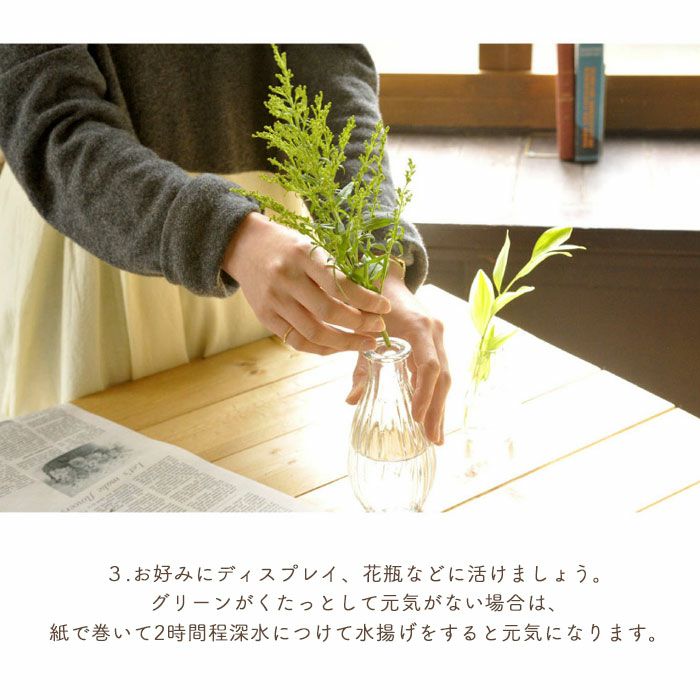 グリーンブーケの楽しみ方3