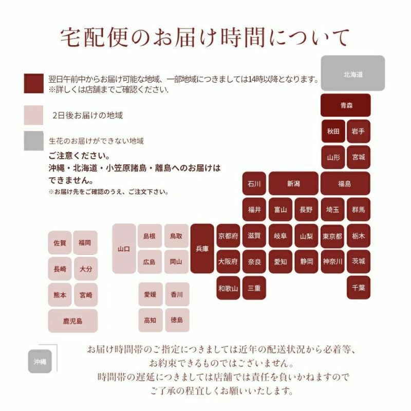 バラ30本の花束