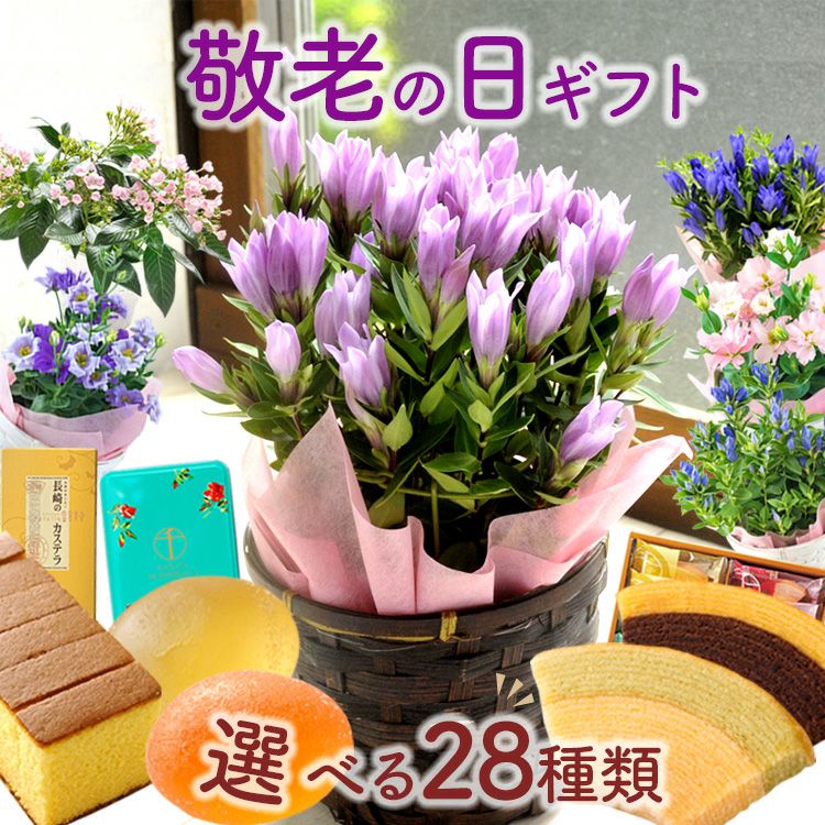 敬老の日ギフト 2025 選べる花鉢とスイーツセット