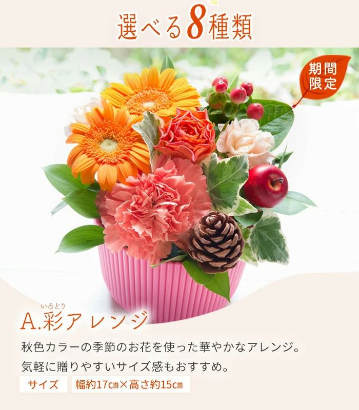 敬老の日ギフト 遅れてごめんね 2025 選べるフラワーアレンジメント8種