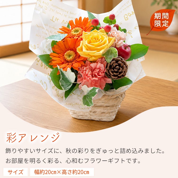 彩アレンジ