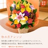 秋の月アレンジ
