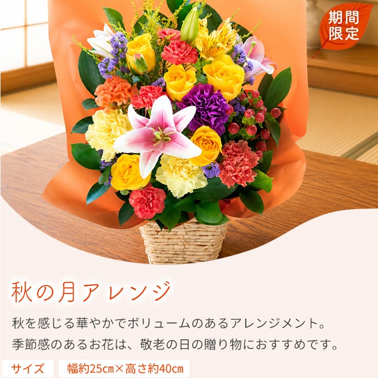 秋の月アレンジ