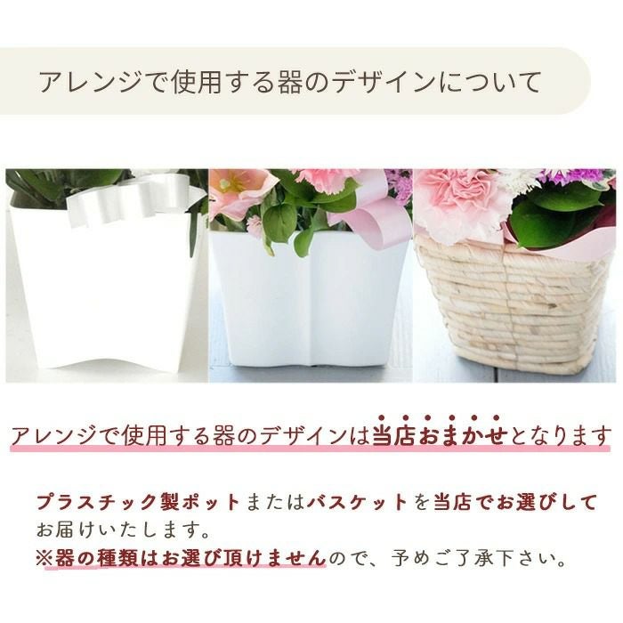 器のデザインについて