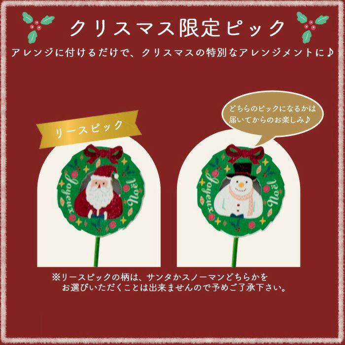 ノエルアレンジ 選べるピック付き クリスマス フラワーギフト 2025
