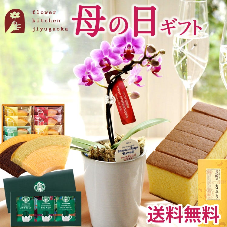 母の日マイクロ胡蝶蘭＆選べるスイーツ