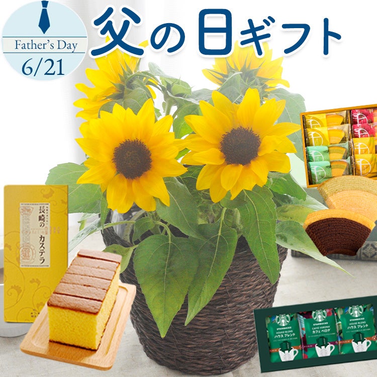 父の日 選べる花鉢