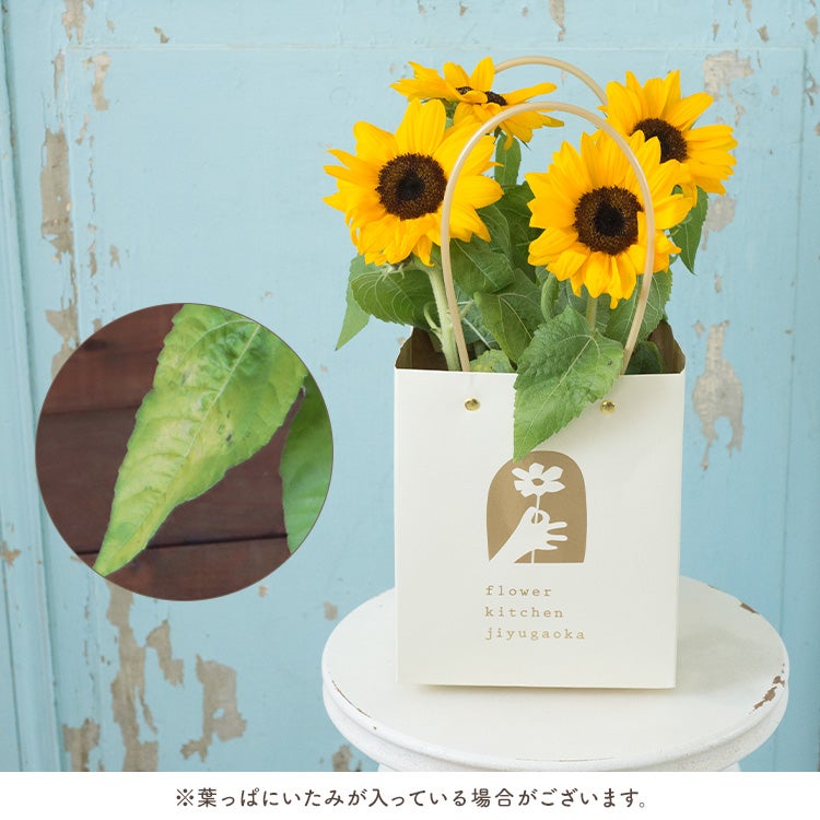 父の日限定ギフト ひまわり花鉢 選べるスイーツセット 2026 FKPP
