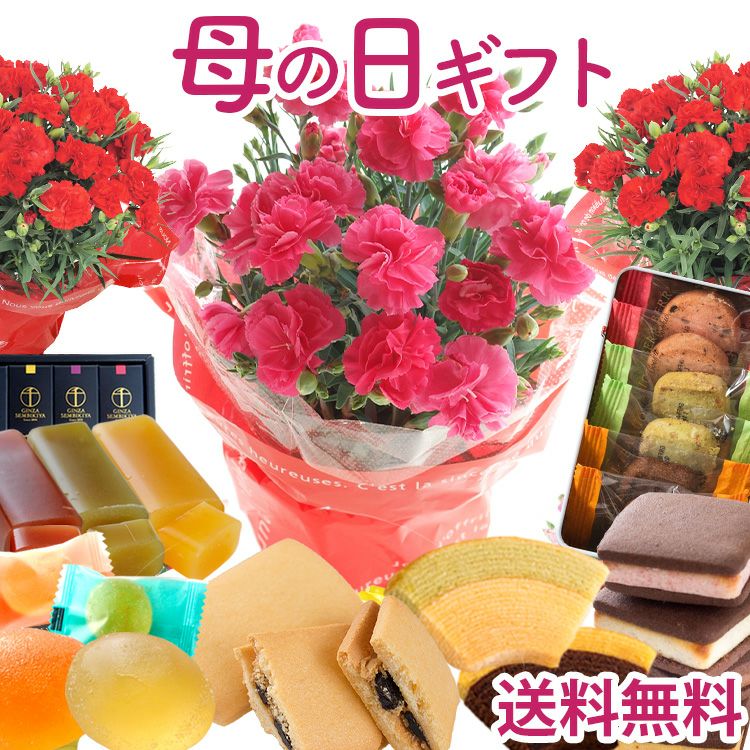 母の日カーネーション＆選べる銀座千疋屋スイーツセット