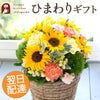 ソレイユアレンジ 誕生日 アレンジメント プレゼント ひまわり