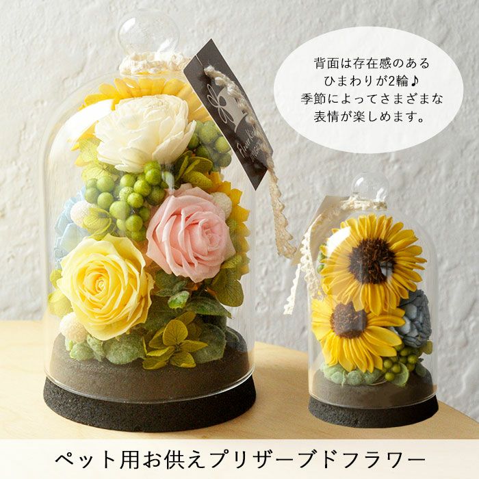 ペットのお供えプリザーブドフラワーとお供えメモリアルセット＆和遊お
