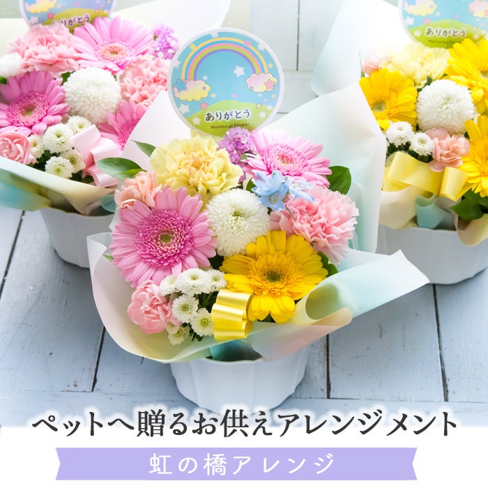 ペットのお供え「虹の橋アレンジ」＆ペット線香「レインボー線香 