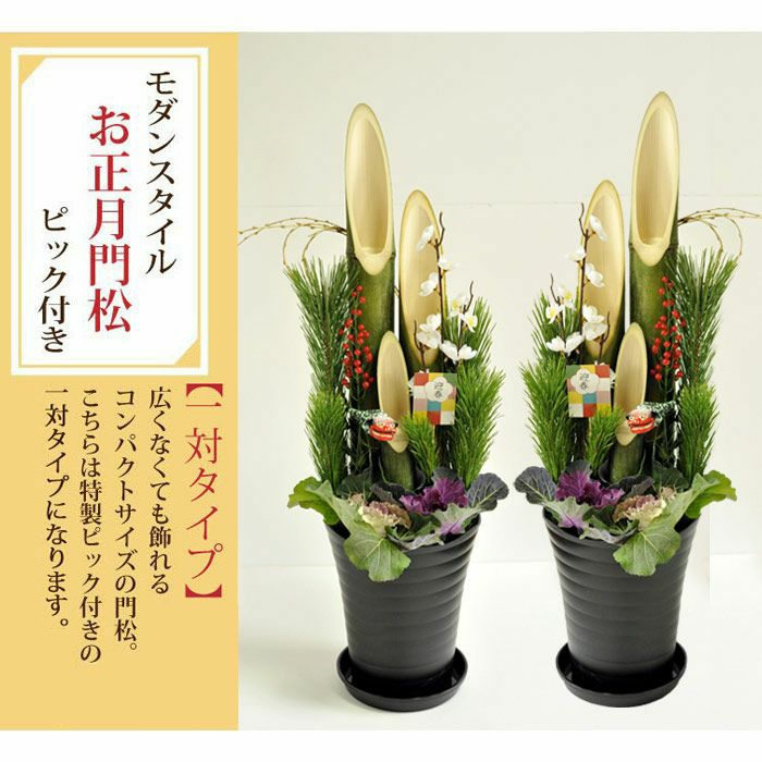 000000003006-10.jpg?size=l&w=