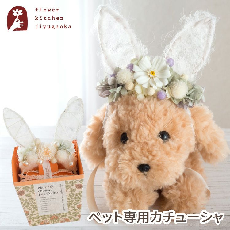ペット用お花のカチューシャ「シュシュ」 FKTPH | Flower Kitchen
