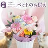 ペットのお供えアレンジ 「月虹-げっこう-」 お悔やみ アレンジメント