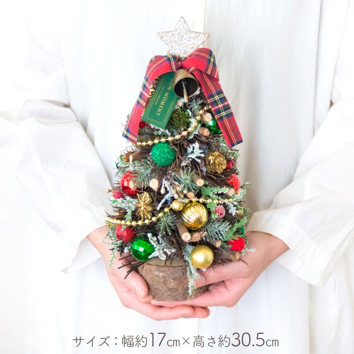 北欧風 卓上 クリスマスツリー 「サパンドゥノエル」 選べる2色 2025