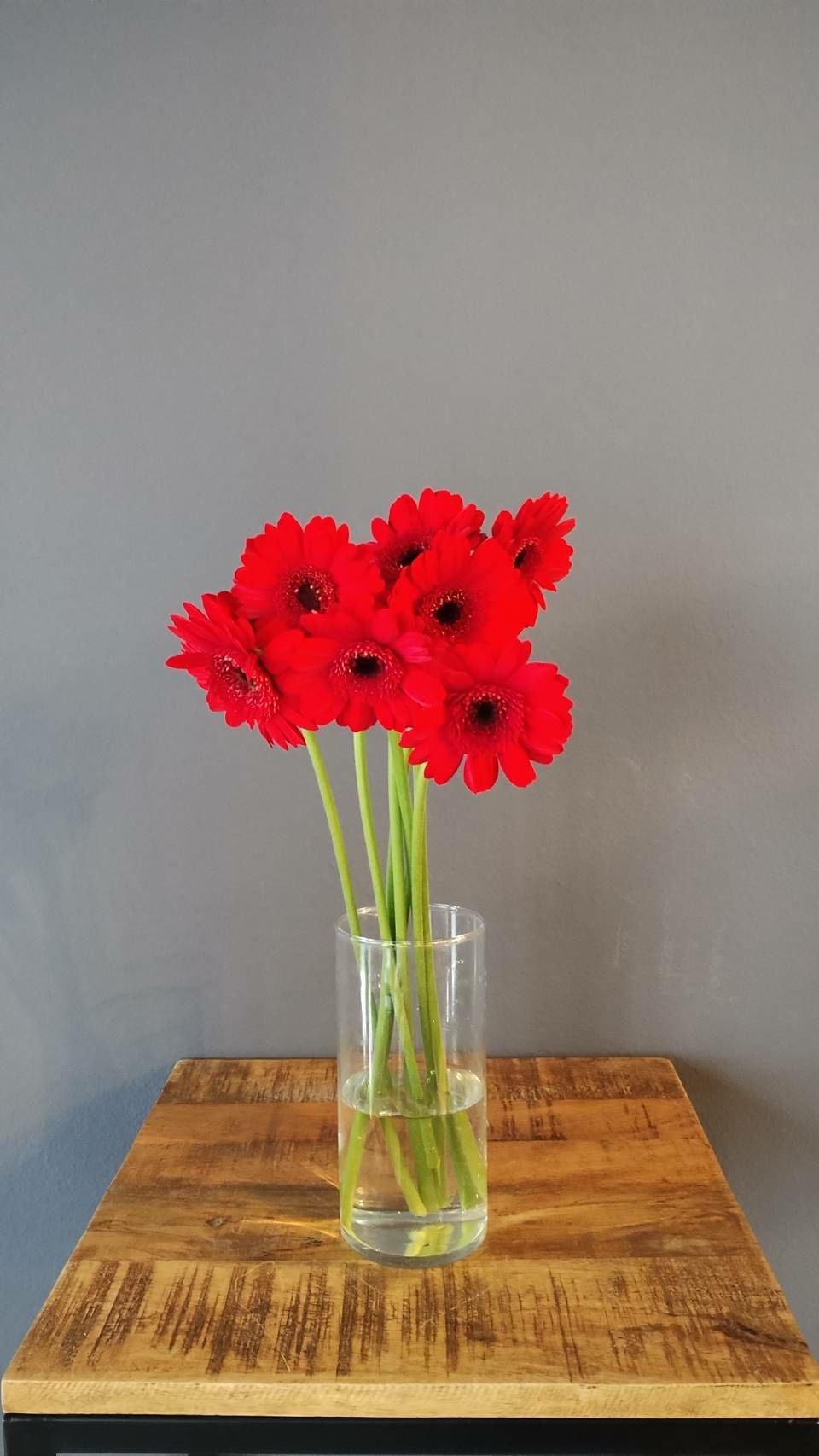 ガーベラ（8本） 中目黒店より直送 | Flower Kitchen JIYUGAOKA