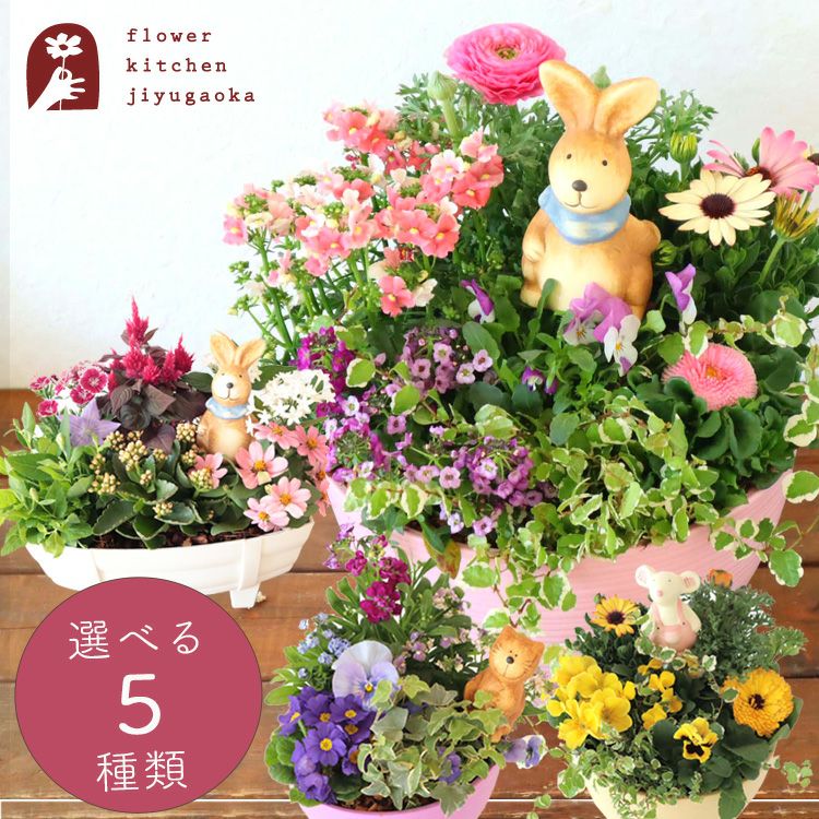季節のお花の寄せ植え 花苗6種 タル型鉢 丸型鉢 プランター FKRSL