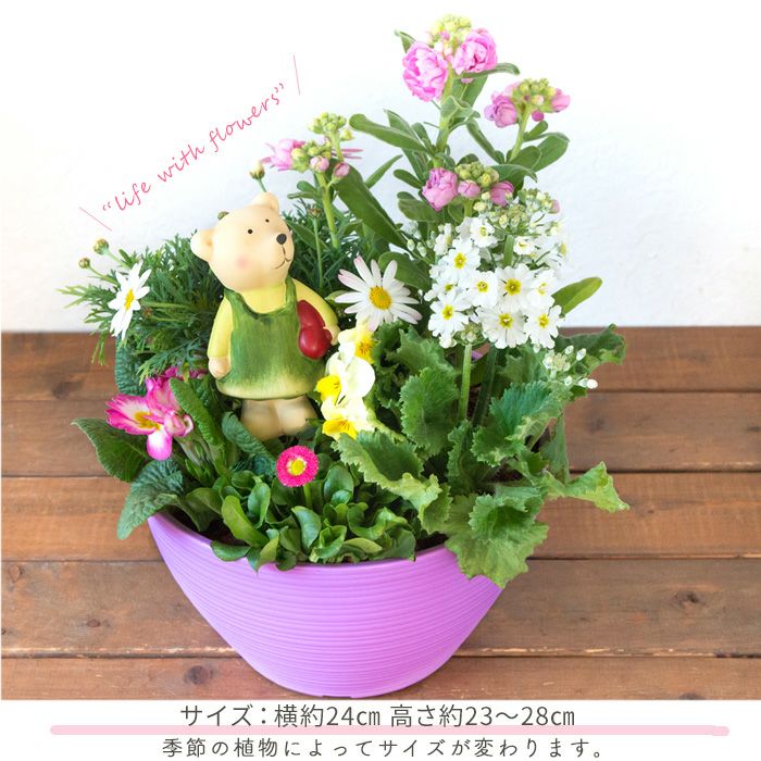季節のお花の寄せ植え 花苗6種 タル型鉢 丸型鉢 プランター FKRSL