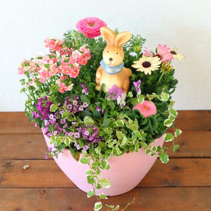 季節のお花の寄せ植え 花苗6種 タル型鉢 丸型鉢 プランター FKRSL